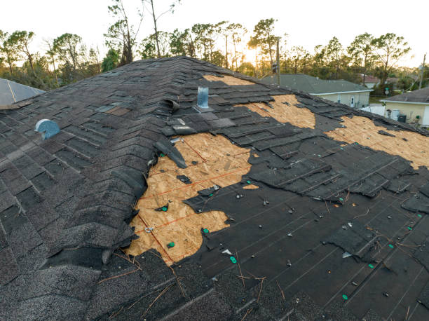 Best Roof Insulation Installation  in Cattaraugus, NY